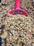 PARTYYYY-CUL HOTSPICE Spod 5KG